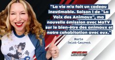 Marie Saint-Laurent, qui nous donne des nouvelles! Elle nous parle de l’émission qu’elle anime sur MAtv, La Voix des Animaux, dédiée à la promotion du bien-être des animaux, qu’ils soient domestiques, sauvages ou de ferme.